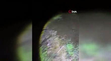 K&uuml;tahya'da balık &ouml;l&uuml;mlerine neden olan işletmeye 840 bin TL ceza