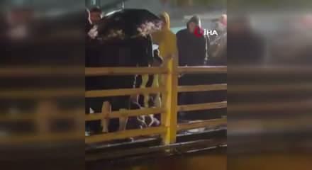 Yalova'da sağanak! Yağmurun durması i&ccedil;in kurban kestiler 