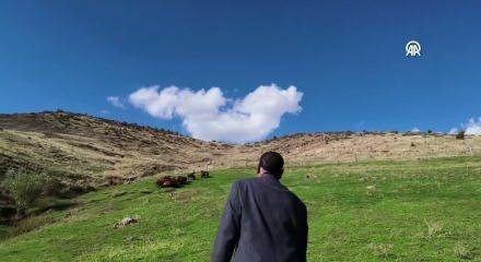 Fenomen &ccedil;oban 18 yıl sonra yine koyunları &ccedil;ağırdı!  O anlar viral oldu