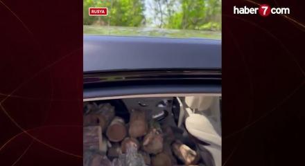 Rusya'da ilgin&ccedil; g&ouml;r&uuml;nt&uuml;: L&uuml;ks otomobiliyle odun taşıdı