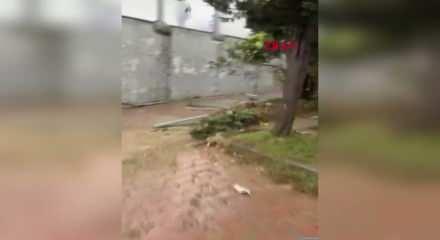 Sultangazi'de 2 araca &ccedil;arpan kamyon bah&ccedil;eye d&uuml;şt&uuml;