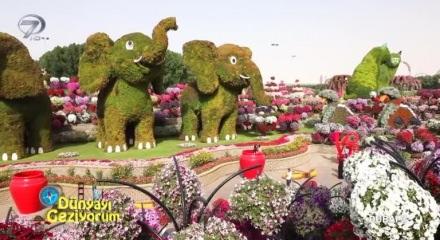 45 Milyon Cicek Bulunuyor Ve Agaclar Hayvan Figurunde Dubai Mucize Bahce Video 7