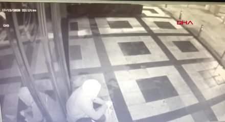 video7