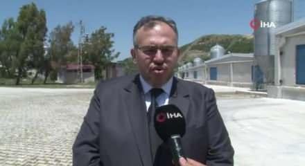 Korona Virus Tavuk Ve Yumurta Sektorunu De Vurdu Video 7