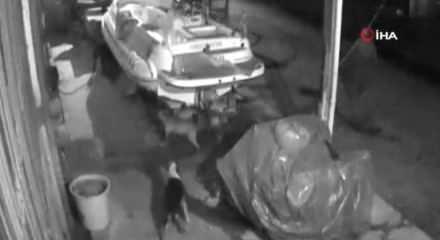 video7 haber7