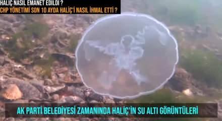 Senocak 25 Yil Istanbul Un Gozbebegi Gibi Bakilan Halic 10 Ayda Camura Dondu Video 7
