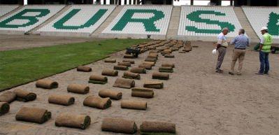 Timsah Arena'da &ccedil;im serme işlemine başlandı