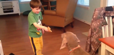 Uyanık k&ouml;pekten yemeyenin malını yerler dersi