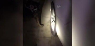 Uyuşturucu operasyonlarında 6 ş&uuml;pheli yakalandı