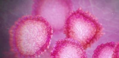 Uzmanlardan 'coronavirus' uyarısı