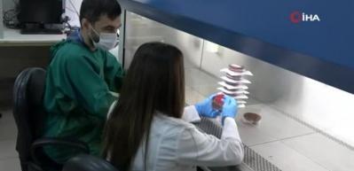 Uzun s&uuml;re kullanılan maskedeki bakteriler laboratuvarda g&ouml;zler &ouml;n&uuml;ne serildi