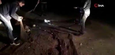 Van G&ouml;l&uuml;'nde 2 ton ka&ccedil;ak inci kefali ele ge&ccedil;irildi