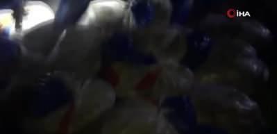 Van G&ouml;l&uuml;&rsquo;nde ka&ccedil;ak avlanmış 16 ton &ouml;l&uuml; balık ele ge&ccedil;irildi