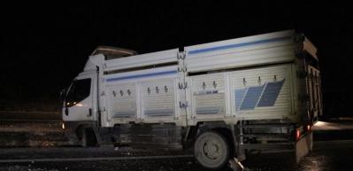 Van'da buzlanma ve tipi zor anlar yaşattı