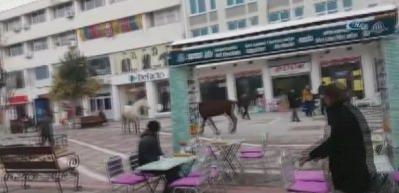 Başıboş atlar &ccedil;arşının g&ouml;beğinde turladı