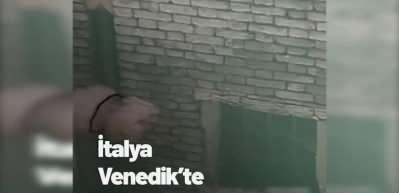 Venedik'in berraklaşan sularında denizanası g&ouml;r&uuml;nt&uuml;lendi