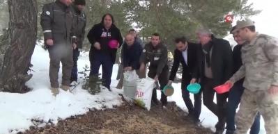 Yaban hayatı i&ccedil;in seferber oldular