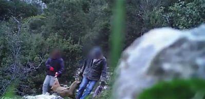 Yaban ke&ccedil;isini vuran ka&ccedil;ak avcılar fotokapana yakalandı