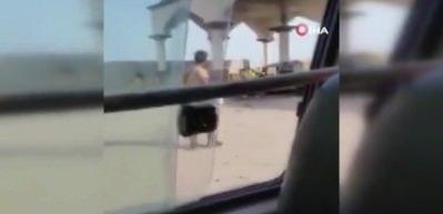 Yemen&rsquo;deki saldırıda en az 40 kişi hayatını kaybetti