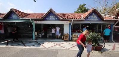 Yeni sezonda tezgahın g&ouml;zdesi palamut