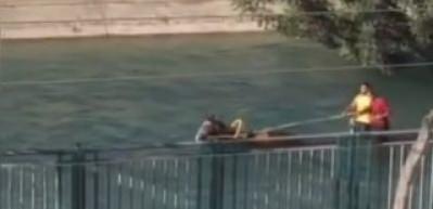 Yer: Adana... Su kanalında at arabasıyla gezintiye &ccedil;ıktılar!