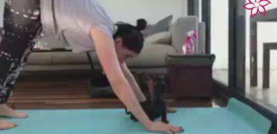 Yoga yapan sahibine zor anlar yaşattı