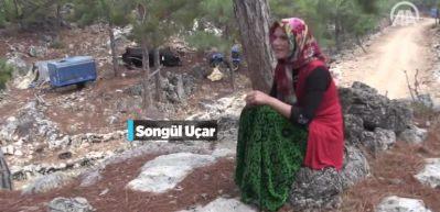 Y&ouml;r&uuml;k Song&uuml;l U&ccedil;ar'ın en b&uuml;y&uuml;k mutluluğu ke&ccedil;ilerinin karnının doyması