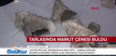Yozgat'ta bulundu! Tam 9 milyon yıllık...