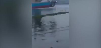 Y&uuml;k gemisinin &ccedil;arptığı feribotta 5 kişi &ouml;ld&uuml;