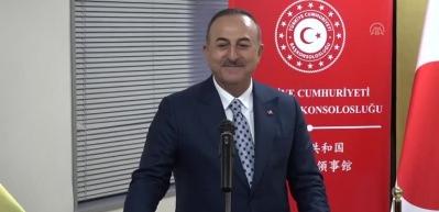 Yurt dışında yaşayan vatandaşlara ehliyet m&uuml;jdesi