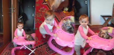 Y&uuml;r&uuml;teciyle k&ouml;pek gezdiren sevimli bebek