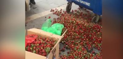 Zabıtanın &ccedil;&ouml;pe d&ouml;kt&uuml;ğ&uuml; &ccedil;ilekleri vatandaş satın aldı