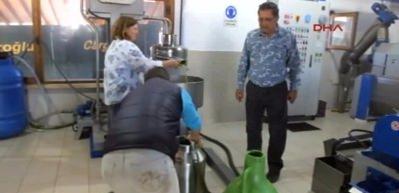  Zeytinyağı kalitesi sevindirdi