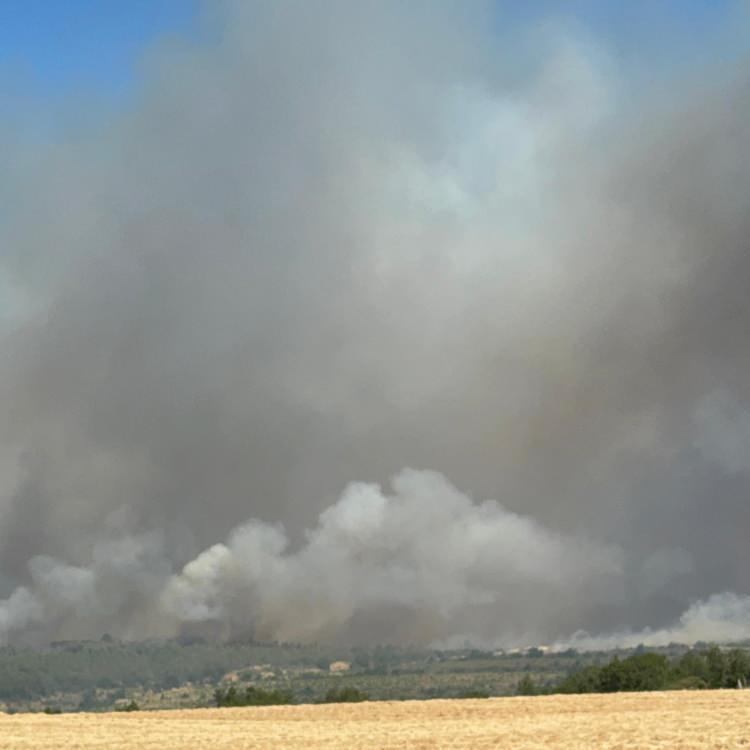 MUĞLA'DA YANGIN KONTROL ALTINDA