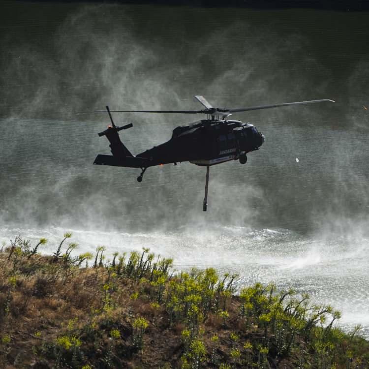 ANTALYA'DA ORMAN YANGINI ÇIKTI