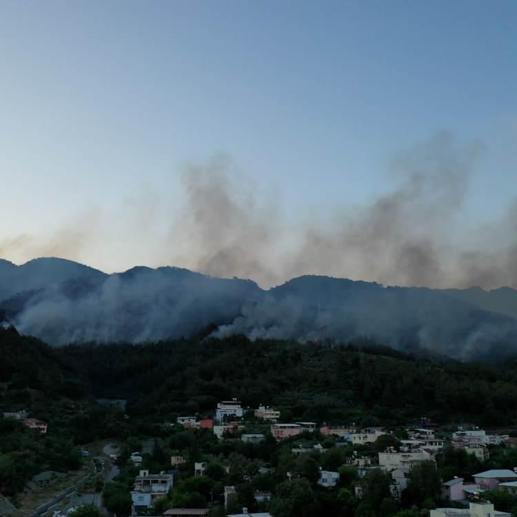 DÖRTYOL'DA ORMAN YANGININA MÜDAHALE SÜRÜYOR 