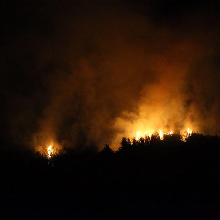 HASSA VE YAYLADAĞI'NDAKİ YANGINLAR KONTROL ALTINDA