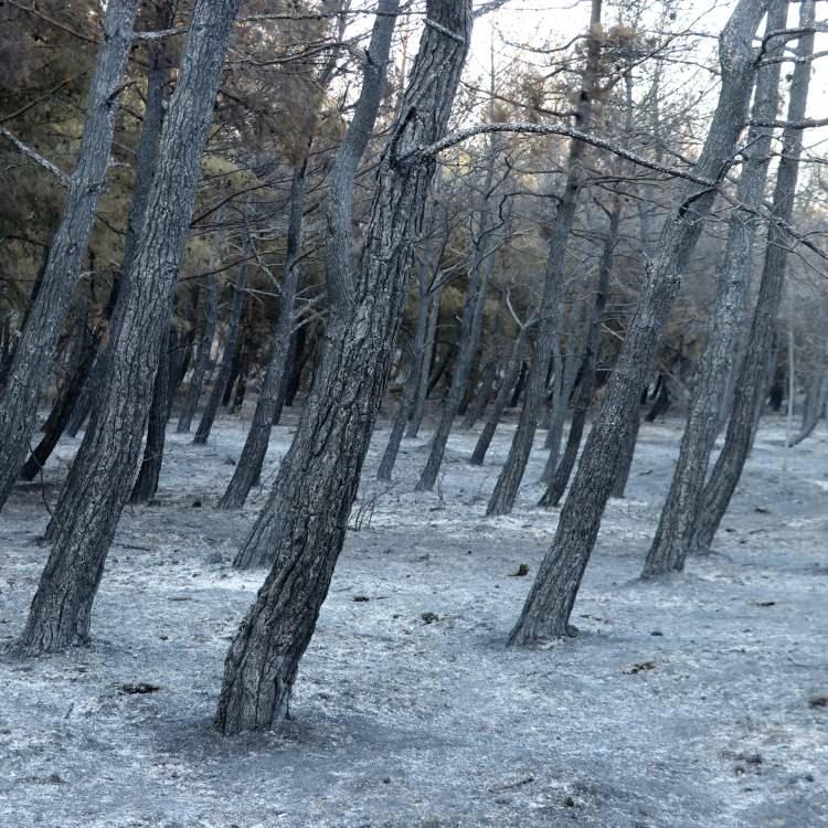 ŞARKÖY FELAKETİ YAŞADI