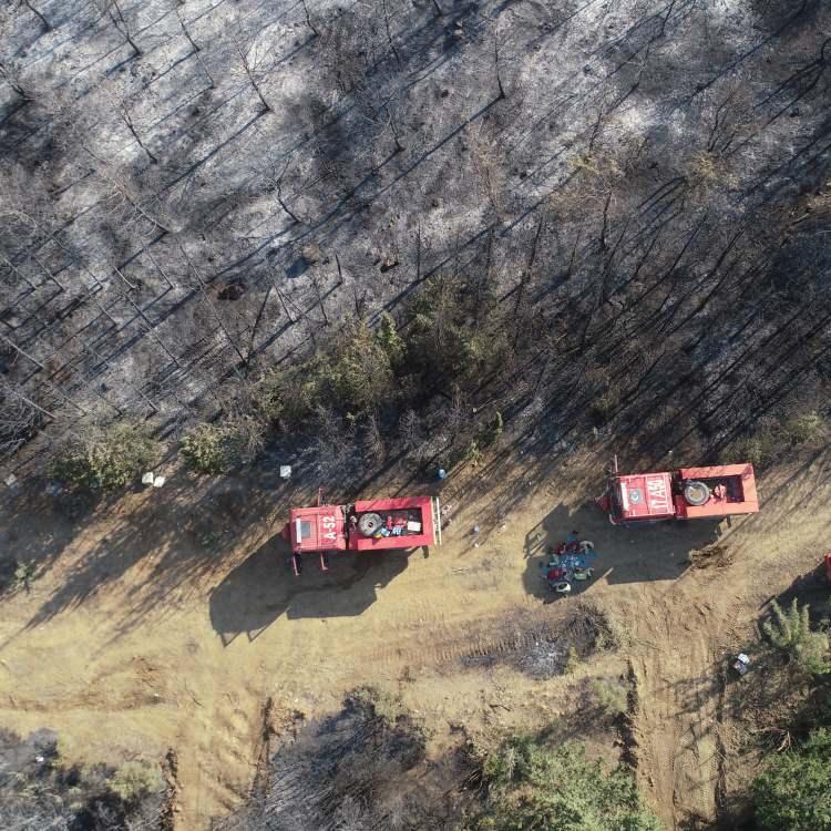 AĞILLAR ZARAR GÖRDÜ: 