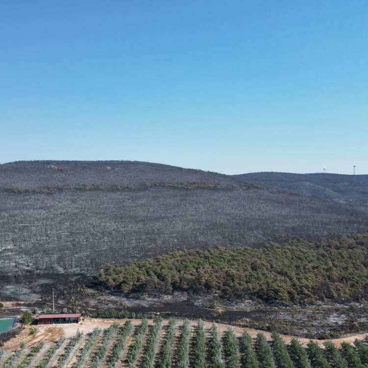 ŞARKÖY'DE YANGIN KISMEN KONTROL ALTINDA