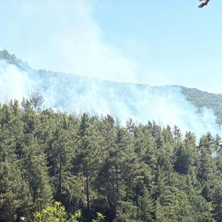 ANTALYA'DA YANGIN KONTROL ALTINDA