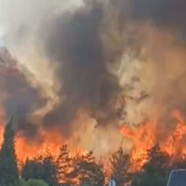 BUCA'DA YANGIN KONTROL ALTINDA