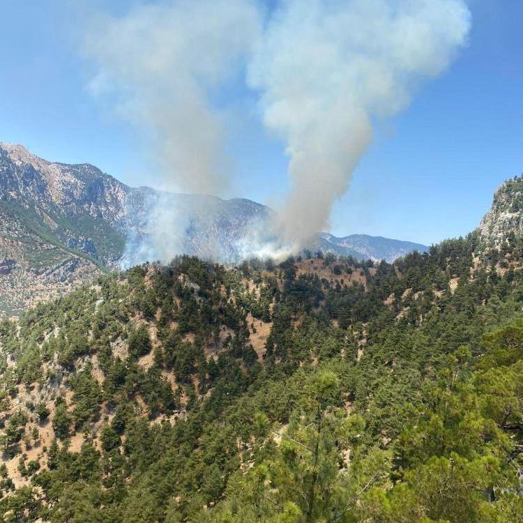 ADANA'DA ORMAN YANGINI