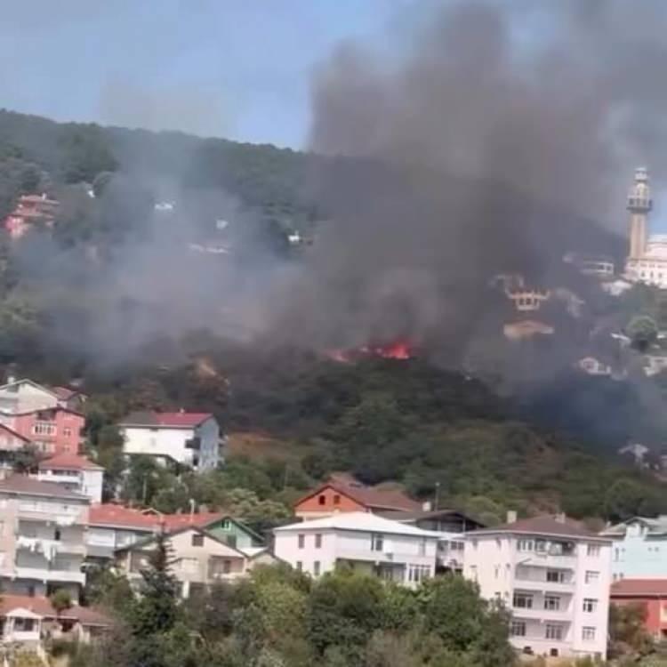BEYKOZ'DA YANGIN