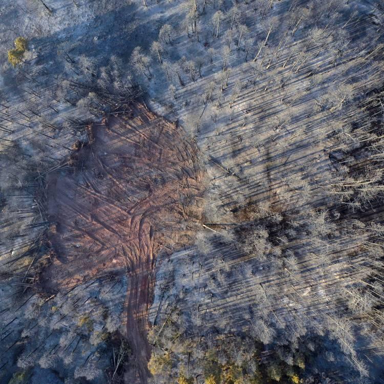 ÇANKIRI'DA YANGIN KONTROL ALTINDA