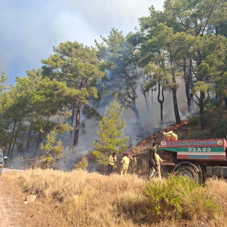 SİNOP'TA YANGINA MÜDAHALE SÜRÜYOR