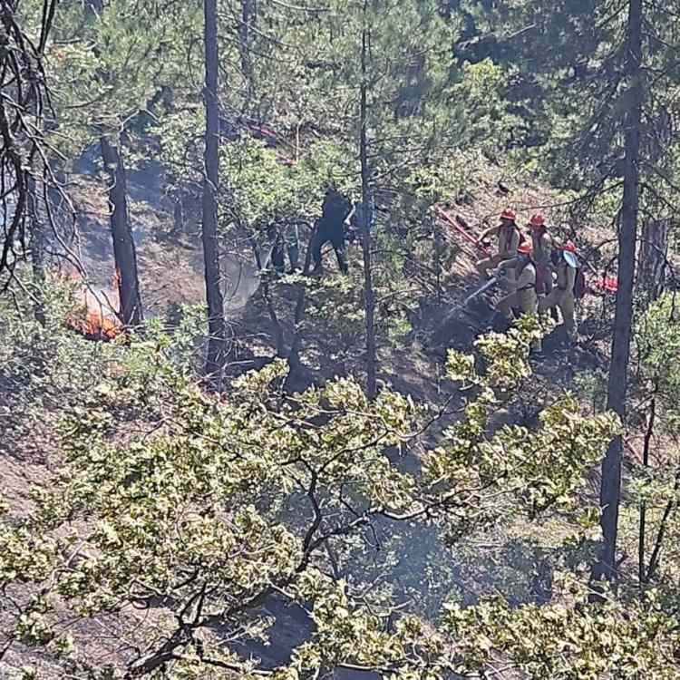 DENİZLİ'DE YANGIN SÖNDÜRÜLDÜ