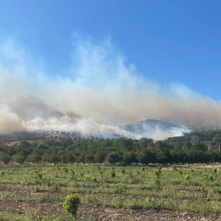 SAKARYA'DA YANGIN KONRTOL ALTINDA