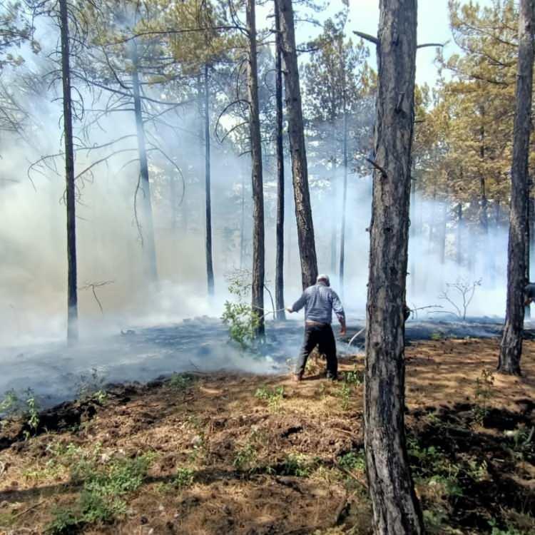DENİZLİ'DE YANGIN KONTROL ALTINA ALINMAYA ÇALIŞILIYOR!
