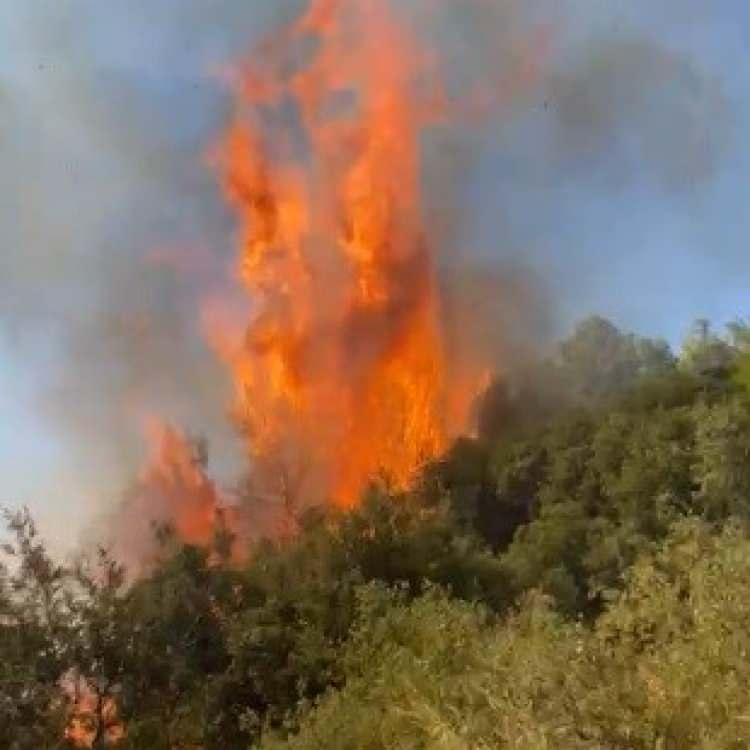 KUMLUCA'DA YANGIN SÖNDÜRÜLDÜ